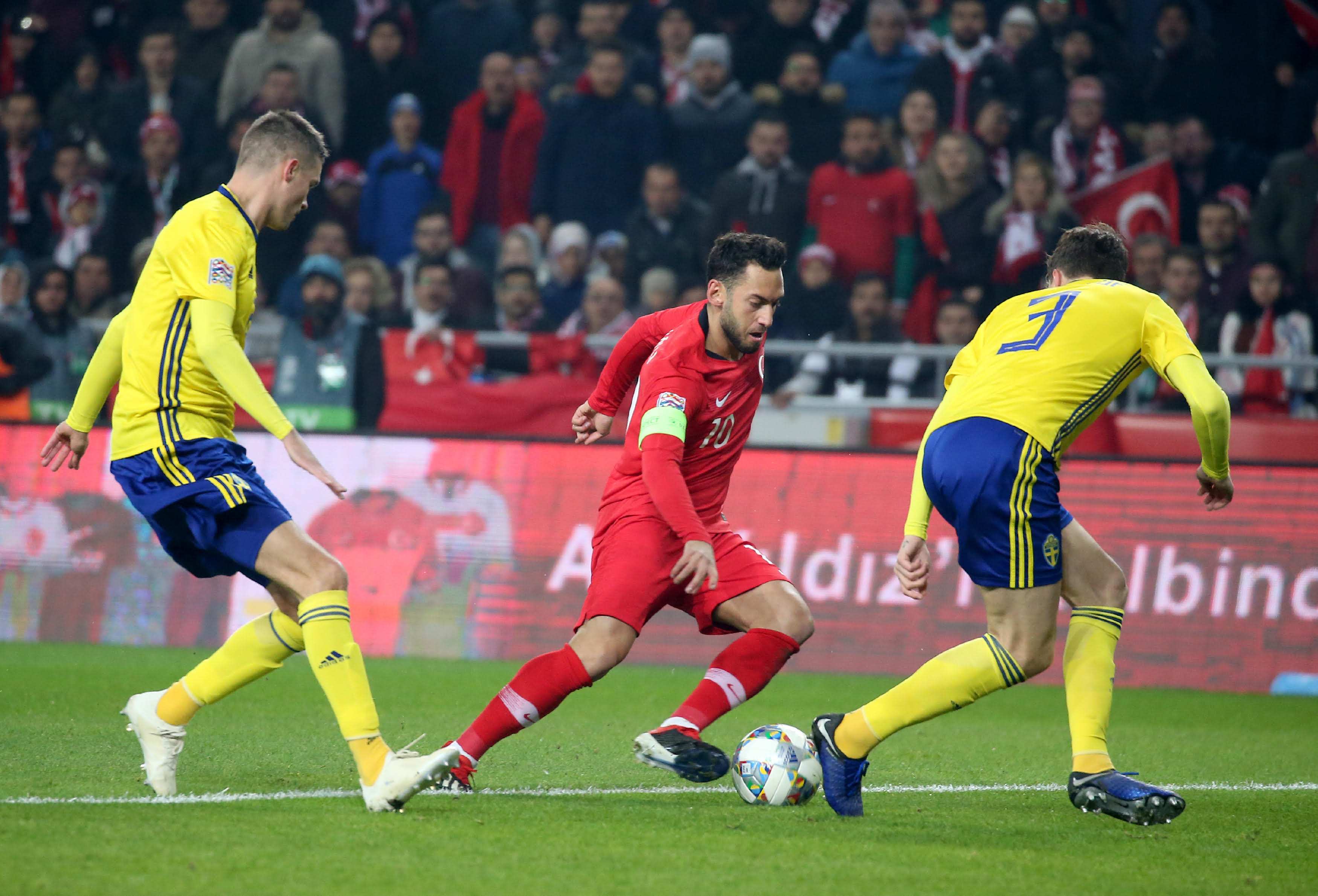 养的结晶 养的结晶