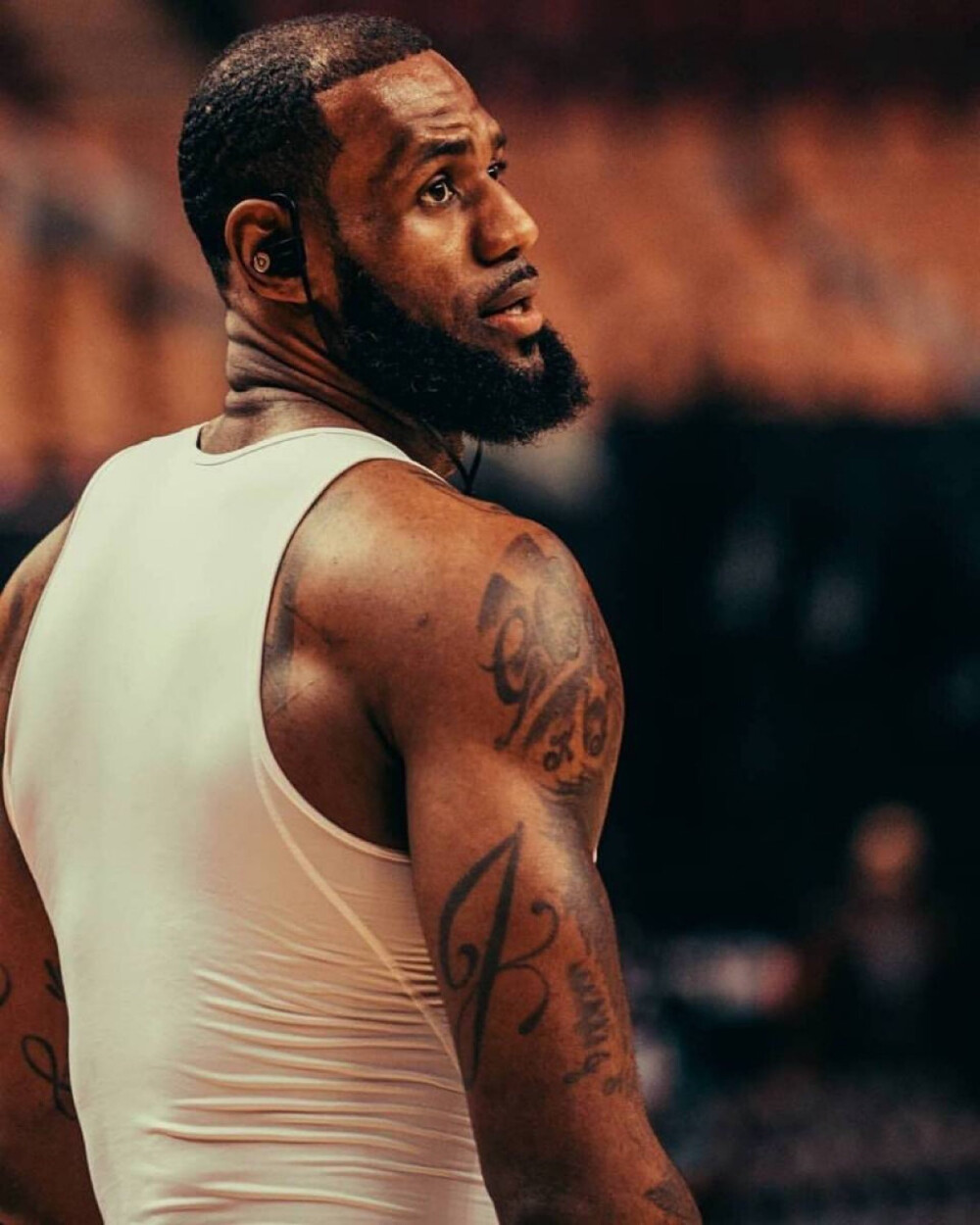 格的回归标 格的回归标